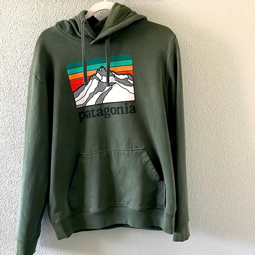 Forest Green Patagonia Hoodie